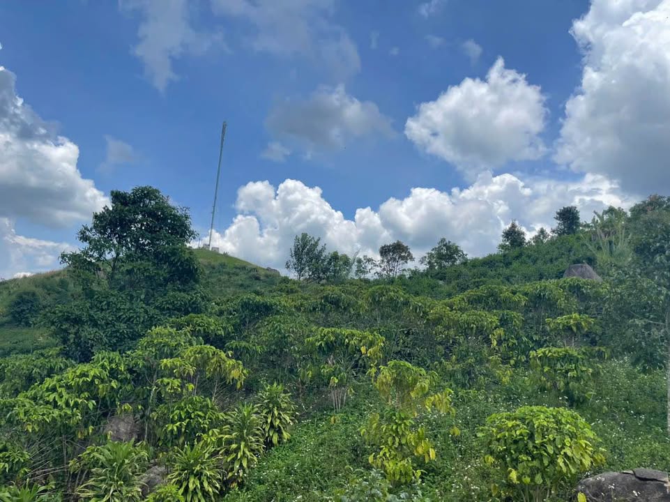 Đất nền Tiền Yên, Lộc Đức, 3240m² giá 1.62 tỷ - Sổ đỏ chính chủ