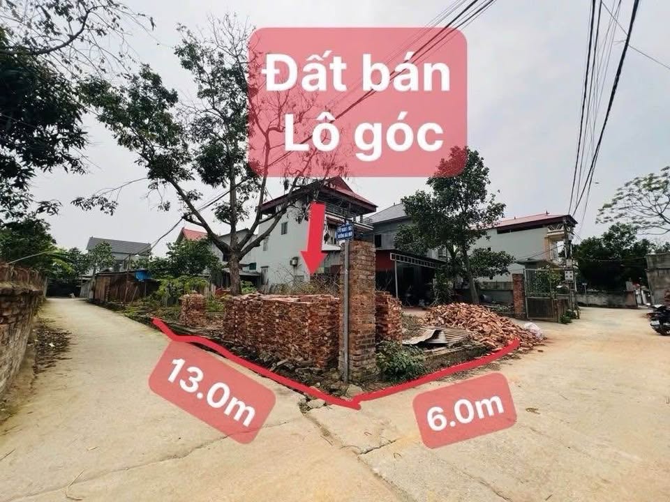 Đất nền góc 81m² tại Sơn Đoài, Tân Minh - Giá chỉ 2 tỷ, thương lượng tốt!