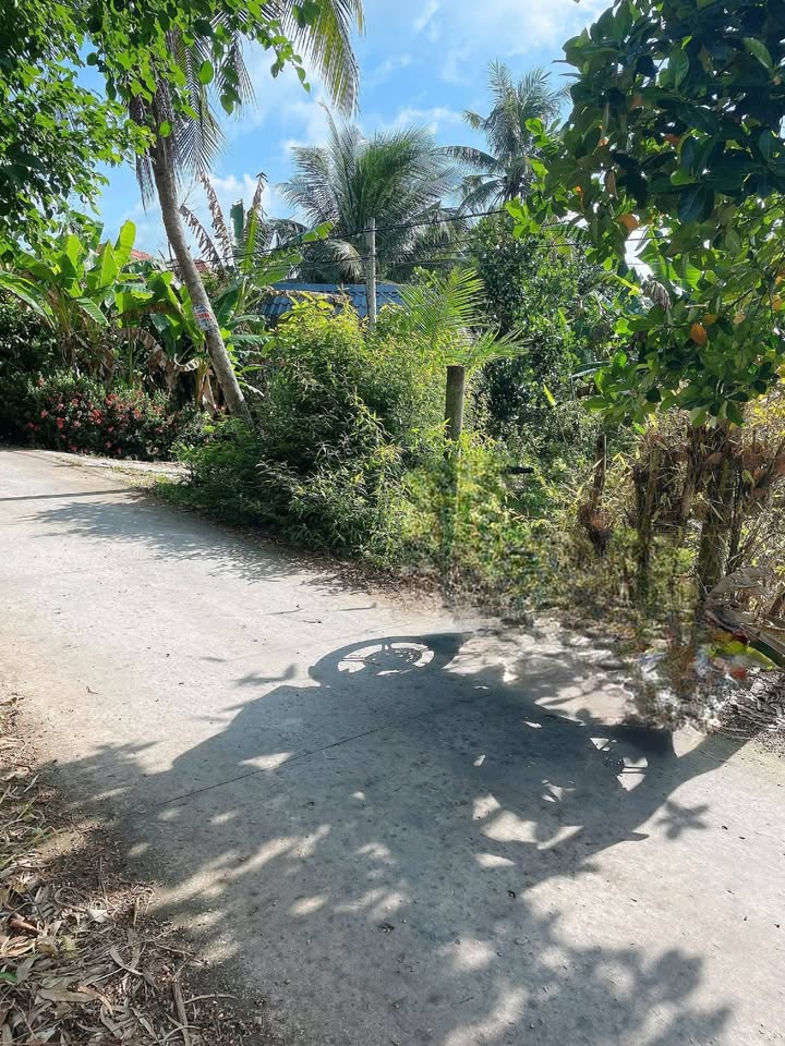 Đất nền thổ cư 160m² tại Ấp 7, Xã Mỹ Thành Nam, Huyện Cai Lậy - Giá chỉ 380 triệu!