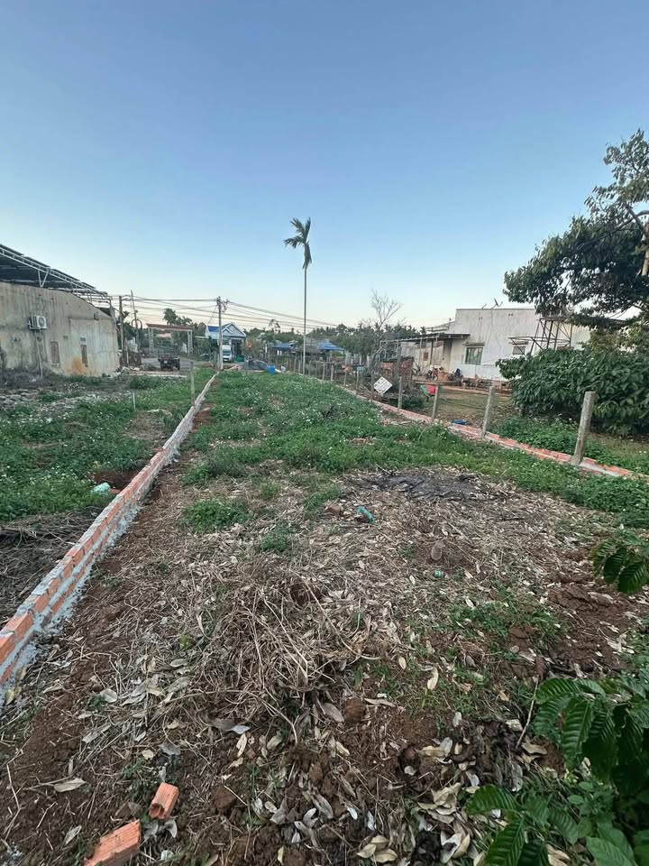 Bán gấp FrontHouse mặt tiền tỉnh lộ 8, Củ Chi, 225m² giá 23.25 tỷ - Kinh doanh sầm uất!