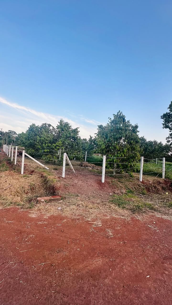 Đất nền 2 mặt tiền Đoàn Kết 315m² giá 1.15 tỷ - Cơ hội đầu tư tốt!