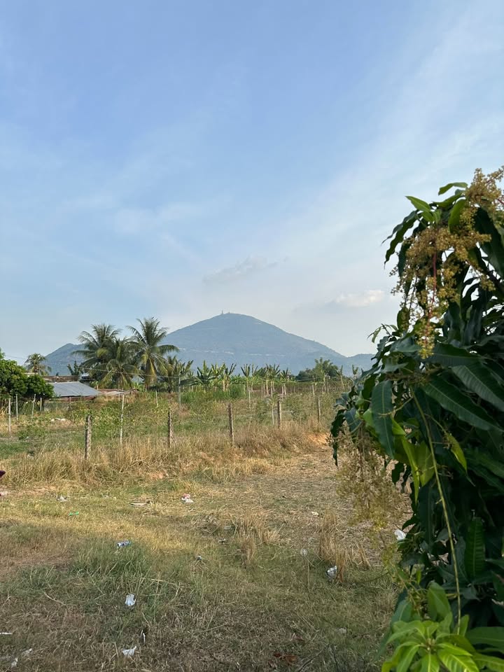 Đất nền Huyện Hòa Thành 2060m² giá 2 tỷ - 2 mặt tiền đẹp, cơ hội đầu tư hiếm có!