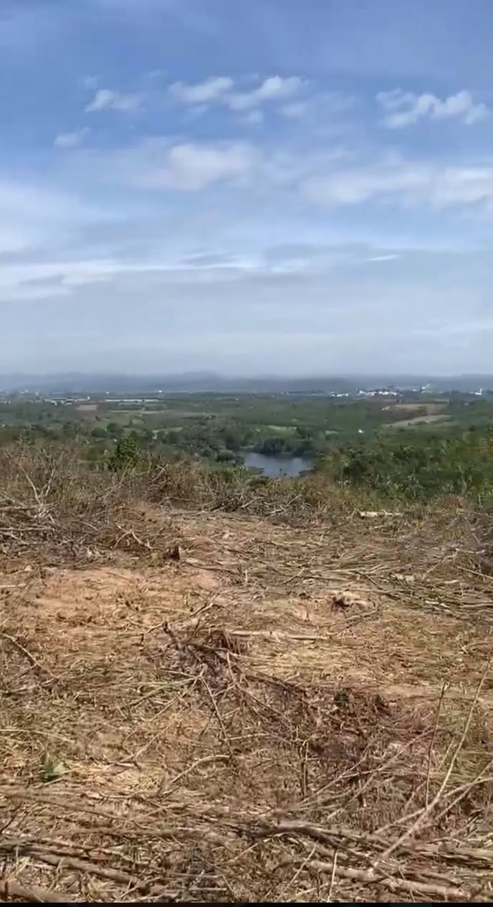 Đất Farm cho thuê tại Ninh Gia, Đức Trọng 34.000m² giá 3 triệu/sào - Cơ hội đầu tư hấp dẫn!