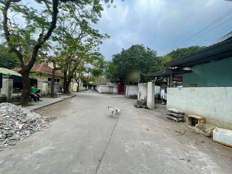 Dãy trọ 6 phòng tại Kiệt ô tô Phan Bội Châu 102,5m² giá 4,5 tỷ - Đầu tư sinh lời ổn định!