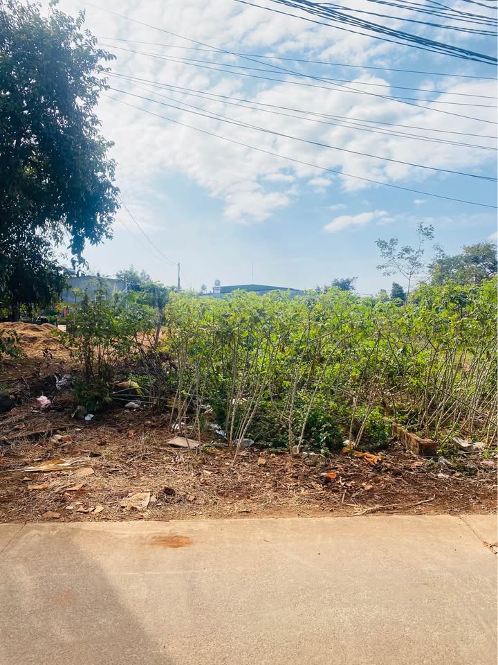 Đất nền xã Cư Suê, huyện Cư M'gar, 110m² giá chỉ 1.35 tỷ - Cơ hội đầu tư hấp dẫn!