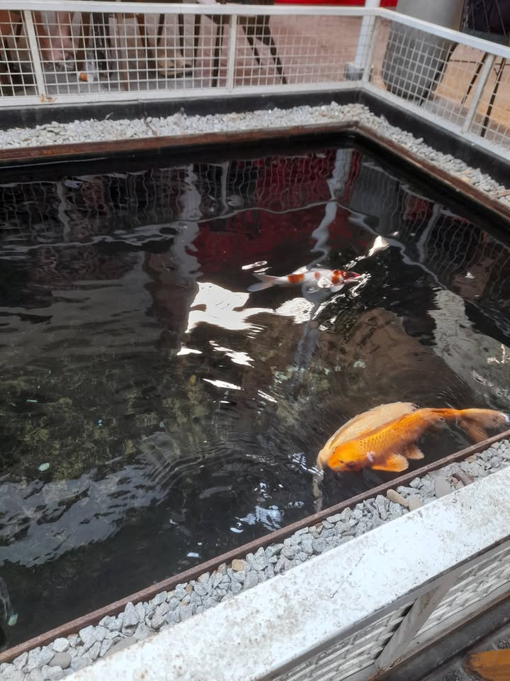 Đất nền Phú Bài, Hương Thủy 240m² giá 600 triệu - Đầu tư sinh lời ngay!