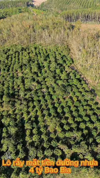 Lô rẫy 2ha tại Ea Ral, Đắk Lắk chỉ 4 tỷ - Đầu tư sinh lời ngay!