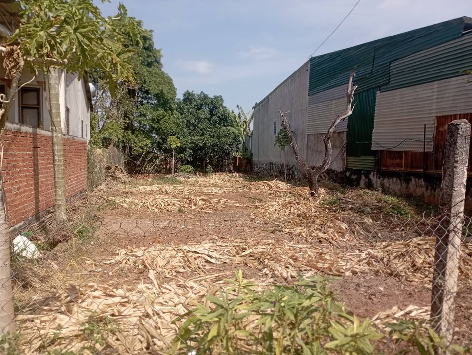 Đất nền liền kề tại Hẻm Trần Nhân Tông, Buôn Ma Thuột 150m² - Giá chỉ 1.19 tỷ!