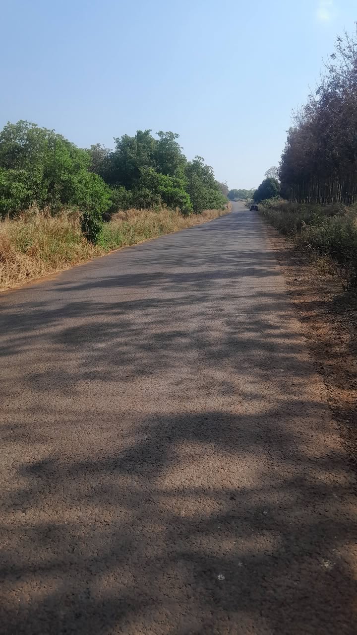 Đất nền 70.000m² mặt tiền đường nhựa Phước Tân - Giá chỉ 60 triệu/m²