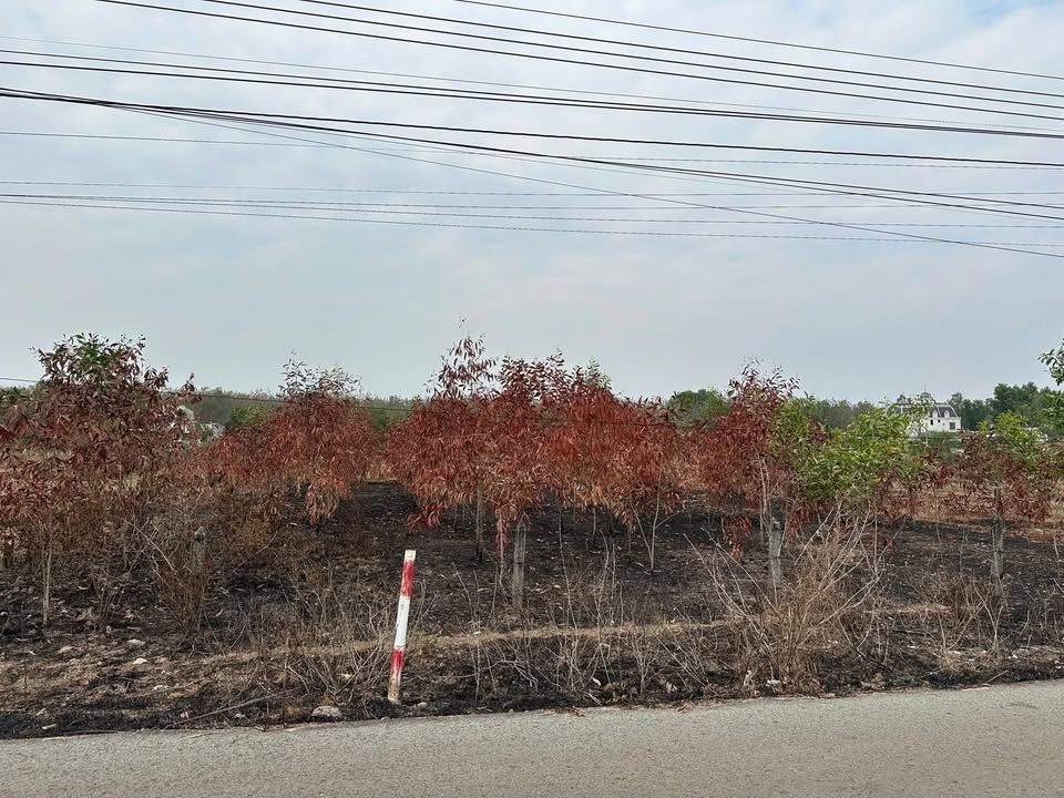 Đất nền Dầu Tiếng 280m² giá 1.9 tỷ - Đường Nguyễn Thị Minh Khai, cơ hội đầu tư hấp dẫn!