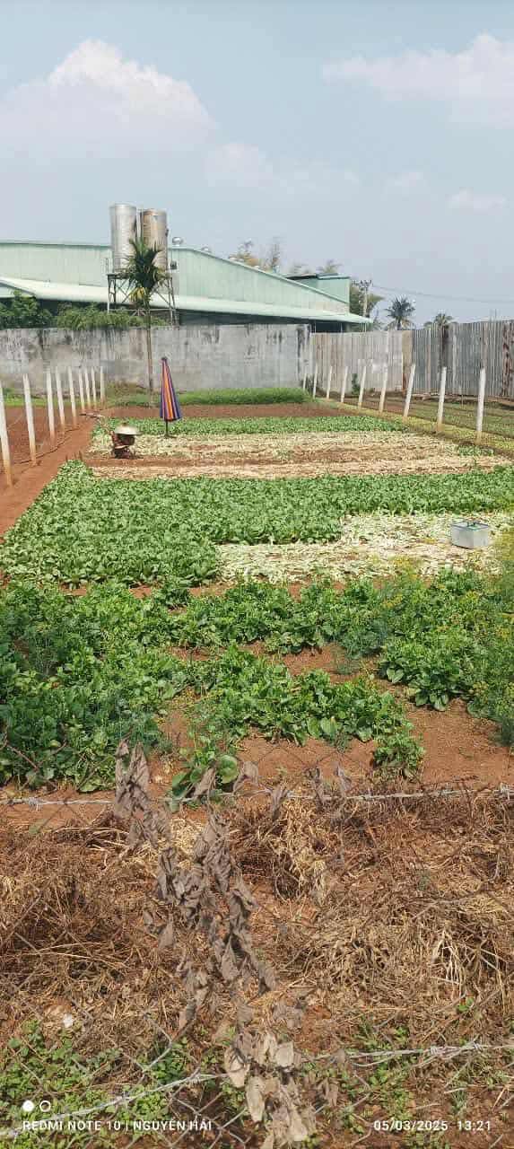 Đất nền đẹp tại Hẻm cấp 1 Phan Văn Đạt, Khánh Xuân 400m² giá 1.49 tỷ - Cơ hội đầu tư hiếm có!