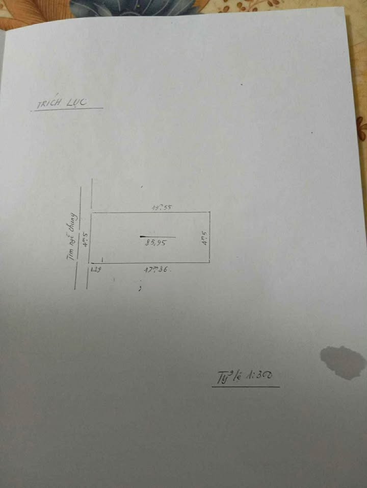 Lô đất ngõ nông Văn Cao, Hải Phòng 86m² giá 3.268 tỷ - Cần tiền bán gấp!