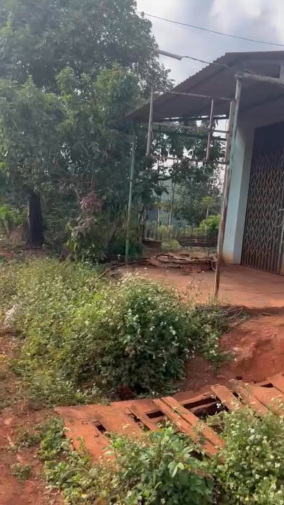 Đất ở xã Ia Phang, Huyện Chư Pưh, 220m² giá 365 triệu - Sổ hồng chính chủ