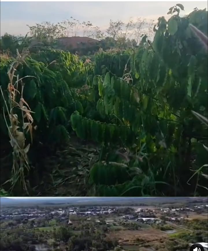 Đất nền mặt tiền đường nhựa Xã Ia BLứ, Huyện Chư Pưh 1000m² - Giá chỉ 30 tỷ!