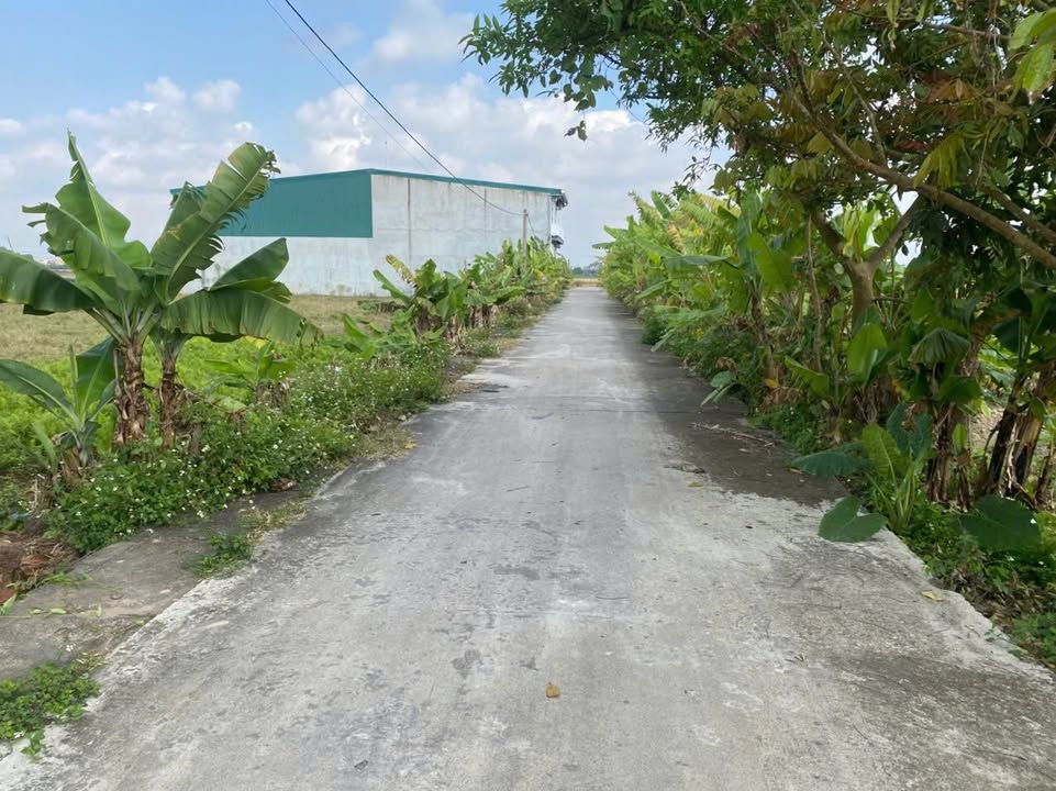 Đất nền Vũ An, Thái Thụy 244,7m² giá 2 tỷ - Cơ hội đầu tư lý tưởng!