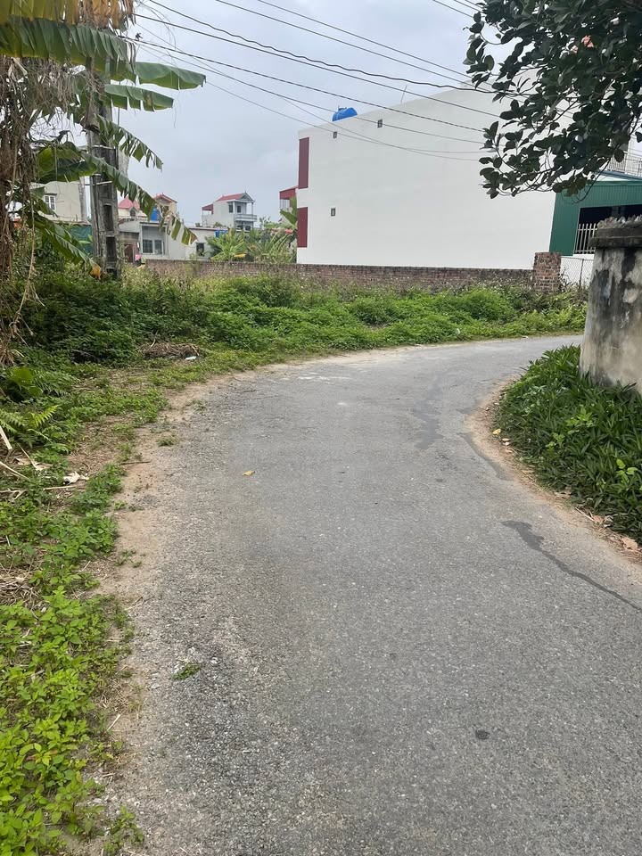 Đất Thái Xuyên, Thái Thụy 125m² giá chỉ 9xx triệu - Đầu tư sinh lời ngay!