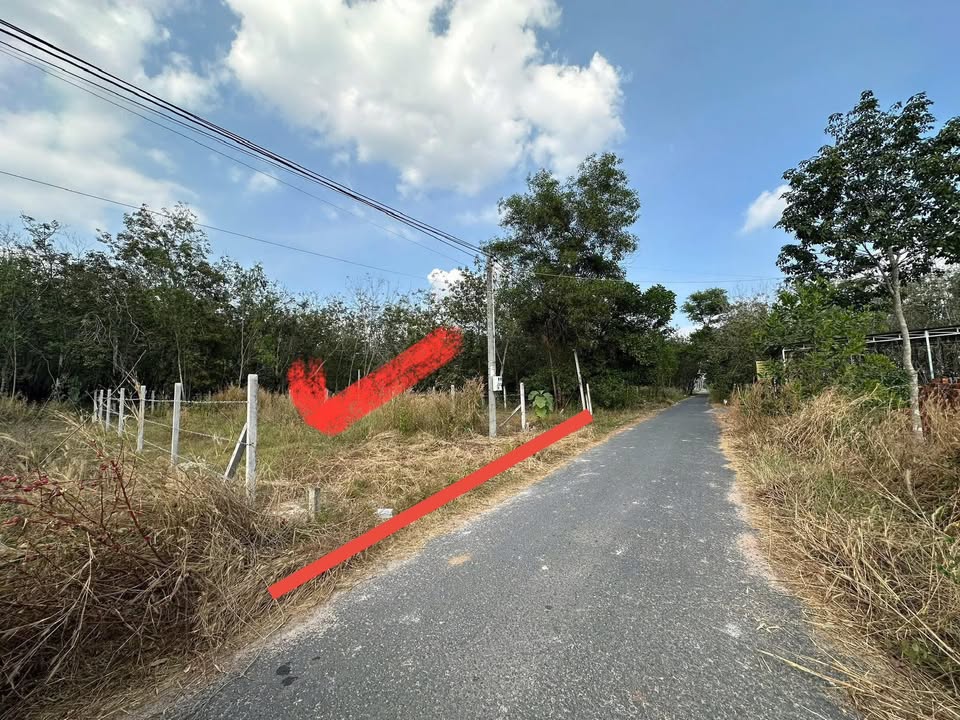 Đất thổ cư mặt tiền đường nhựa Thạnh Tây, Tân Biên 270m² giá chỉ 300 triệu - Cơ hội đầu tư tuyệt vời!