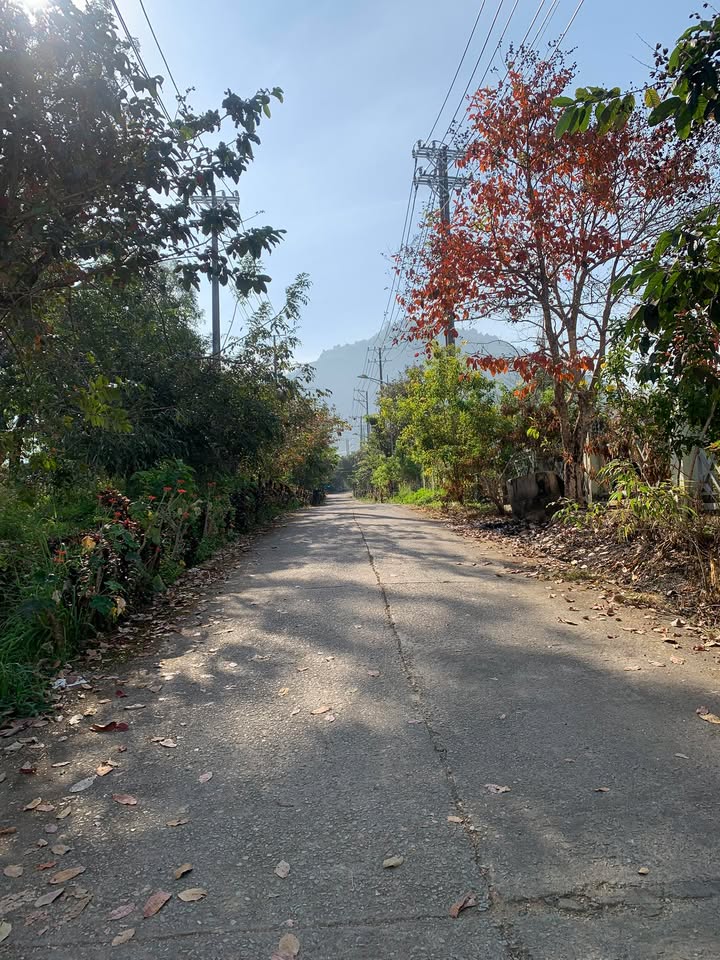 Đất thổ cư 144m² tại Thị trấn Ma Đa Guôi, giá chỉ 500 triệu - Tiềm năng phát triển vượt bậc!