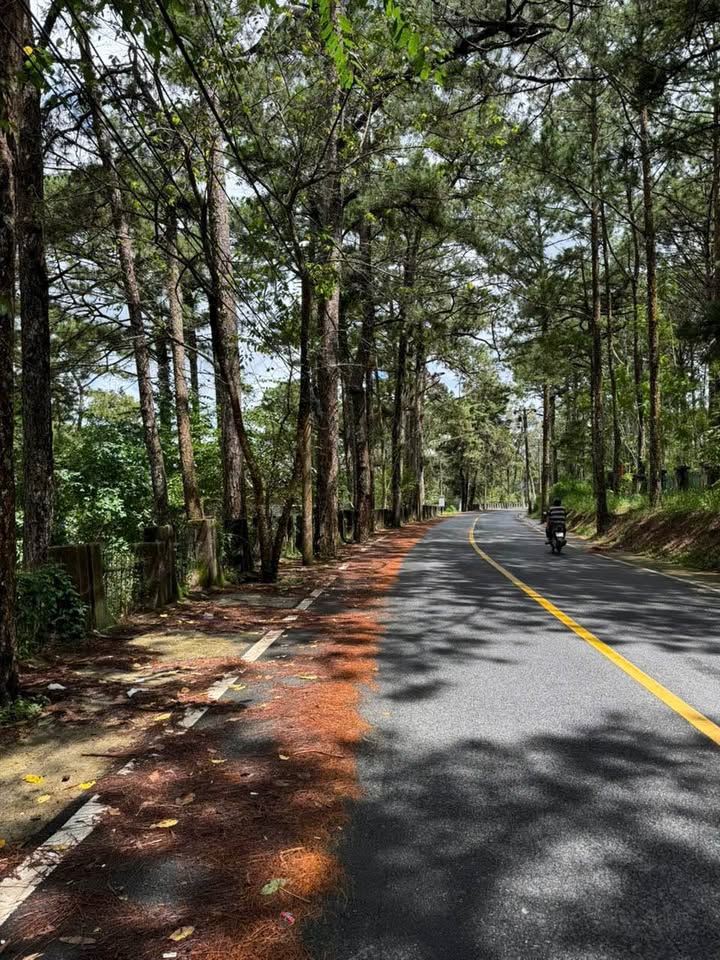 Đất nền Đà Lạt 1678m² giá 68 tỷ - View siêu đẹp, đầu tư sinh lời ngay!