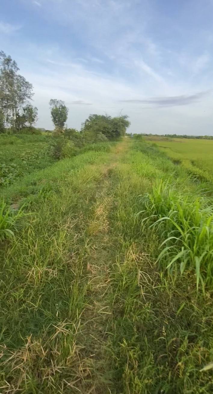 Đất Farm 35.000m² tại Đa Lộc, Châu Thành, Trà Vinh - Giá 5.6 tỷ, Thương lượng ngay!