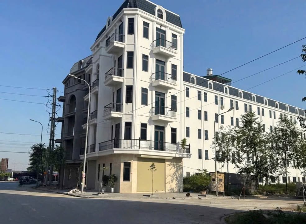 Đất nền dự án 4.6ha Tiên Du 91m² giá 7 tỷ - Tiềm năng tăng giá cao!