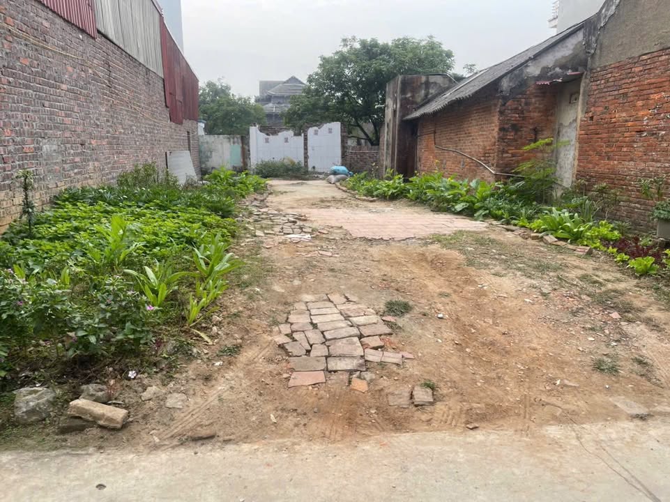 Đất nền Đông Tiến, Yên Phong, Bắc Ninh 109m² giá 2 tỷ - Đường ô tô thuận tiện