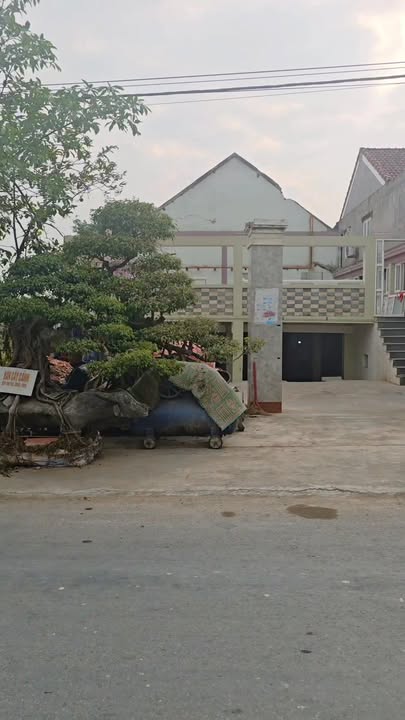 Đất kinh doanh tại xóm 13 cũ, Diễn Yên, 255m² giá 4 tỷ - Tiềm năng sinh lời cao!