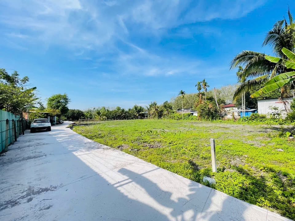 Đất thổ cư 2550m² tại An Nhơn Tây, Củ Chi - Đầu tư sinh lời lý tưởng!