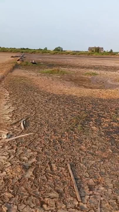 Đất ruộng muối 17,000m² tại Bảo Thạnh, Ba Tri chỉ 2.5 tỷ - Cơ hội đầu tư hấp dẫn!