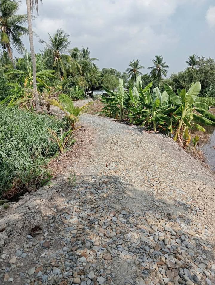 Đất Farm 5500m² tại Huyện Đức Hòa, Long An - Giá 3.5 tỷ - Cơ hội đầu tư lý tưởng!