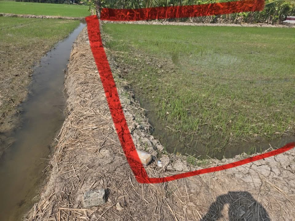 Đất lúa 474m² xã Nhựt Chánh, huyện Bến Lức - Giá chỉ 280 triệu