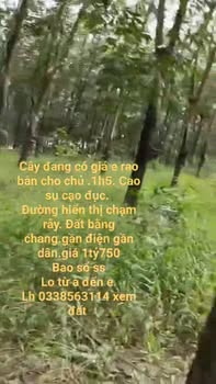 Đất nền 15.000m² tại thôn 3, Bình Minh, Bù Đăng, giá 1.75 tỷ - Cơ hội đầu tư hấp dẫn!