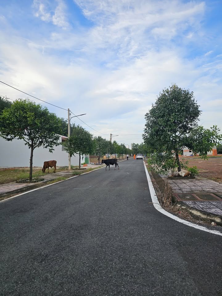 Đất thổ cư 105m² tại Hẻm 422 Tiến Hưng - Giá chỉ 630 triệu!