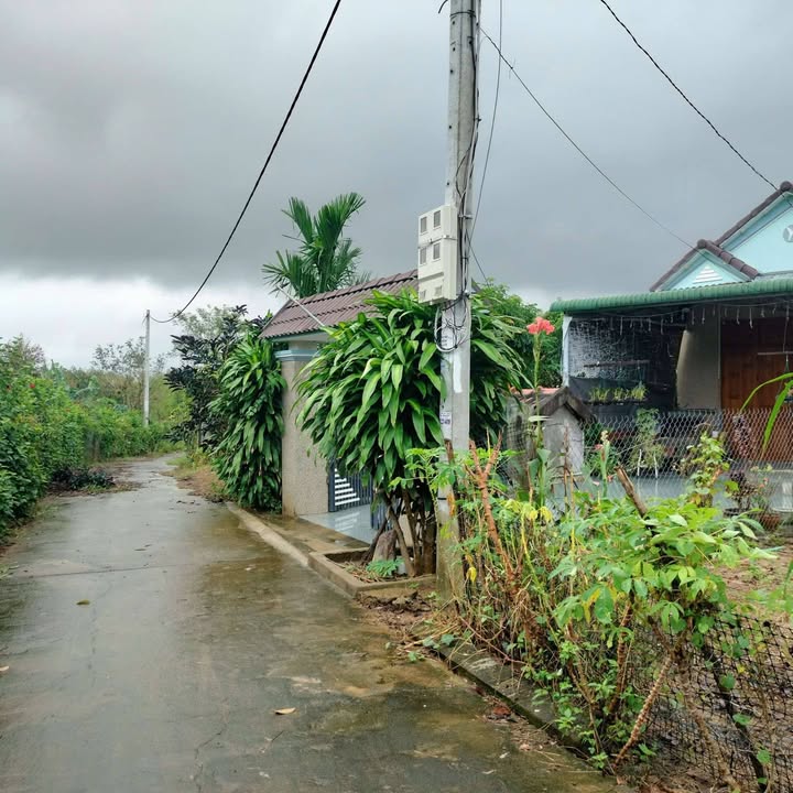 Đất thổ cư 200m² tại Khu phố 8, Huyện Sông Hinh giá 370 triệu - Siêu phẩm cho cặp mới cưới!