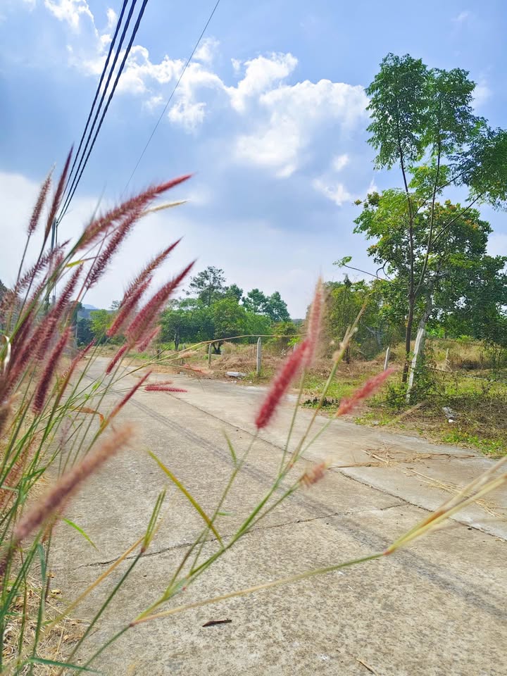 Đất nền Suối Tre Long Khánh 500m² giá 690 triệu - Khu vực yên tĩnh lý tưởng