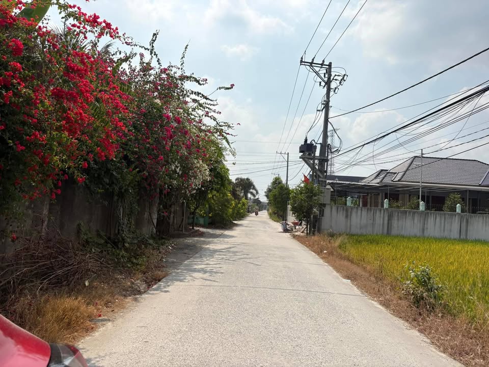 Đất nền 493m² tại Ấp 1, Tân Bửu, Bến Lức - Đường ô tô, giá 6 tỷ