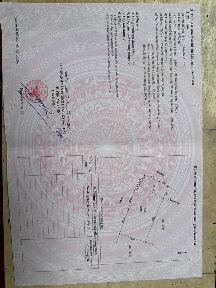 Đất mặt tiền đường 24m tại Phúc Sơn, 577m² - Cơ hội đầu tư sinh lời!