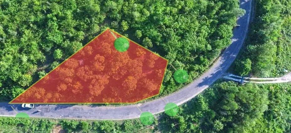 Bán vườn xoài mặt tiền đường Tỉnh Lộ 8 Diên Lâm 1.807m² - Giá tốt đầu tư dài hạn!