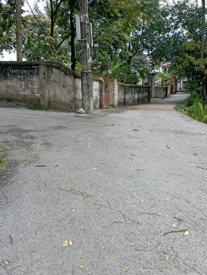 Đất nền chính chủ tại Thị trấn Tam Sơn, Vĩnh Phúc 100m² - Gần trung tâm hành chính!