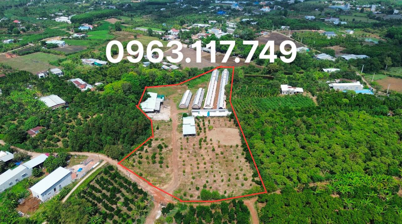 Đất nền 13500m² Xuân Bắc, Đồng Nai - Giá chỉ 5.4 tỷ, tiện ích đầy đủ!