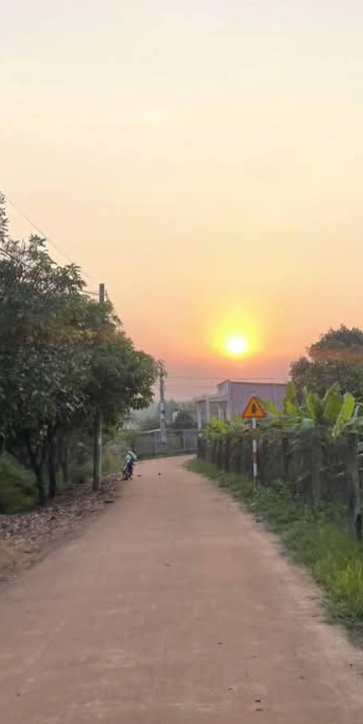 Đất Farm Vĩnh Tân 1.200m² giá 800 triệu - Sổ riêng, thổ nhưỡng tốt!