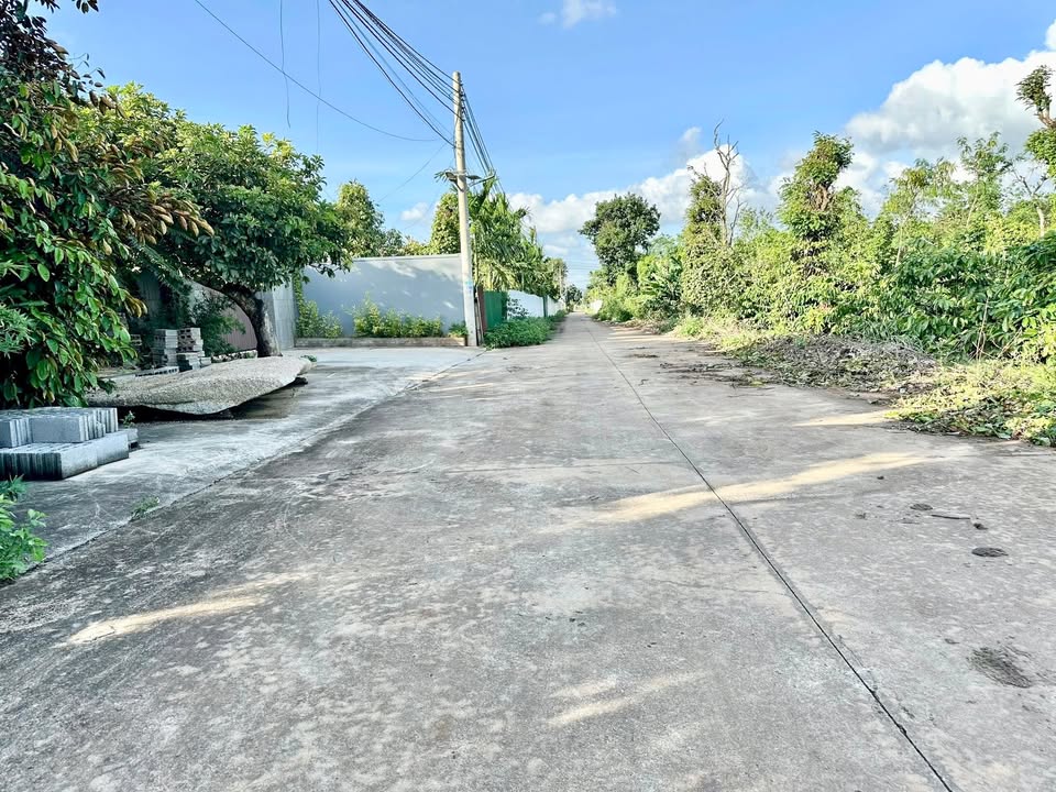 Đất liền kề Cư Suê Đắk Lắk 140m² giá chỉ 1,6 tỷ - Đầu tư sinh lời!