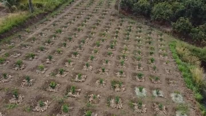 Đất nền 40m² tại xã Đắk R'La, Đắk Mil - Giá chỉ 650 triệu, đầu tư ngay!