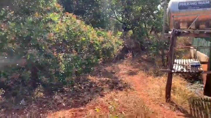 Đất nền xã Ia Pnôn, huyện Đức Cơ, 6000m² giá 1.7 tỷ - Nhà cấp 4 sẵn ở ngay!