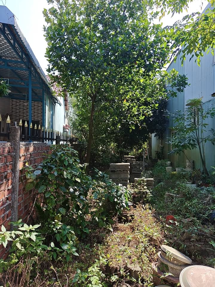 Đất nền Phường Thanh Hà, TP Hội An 118m² giá 2.45 tỷ - Đầu tư an toàn, cơ hội hiếm có!