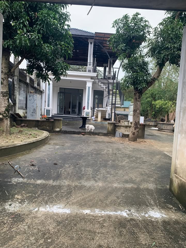 Đất nền Tứ Hạ, 260m² giá 1.6 tỷ - Cơ hội đầu tư tuyệt vời!