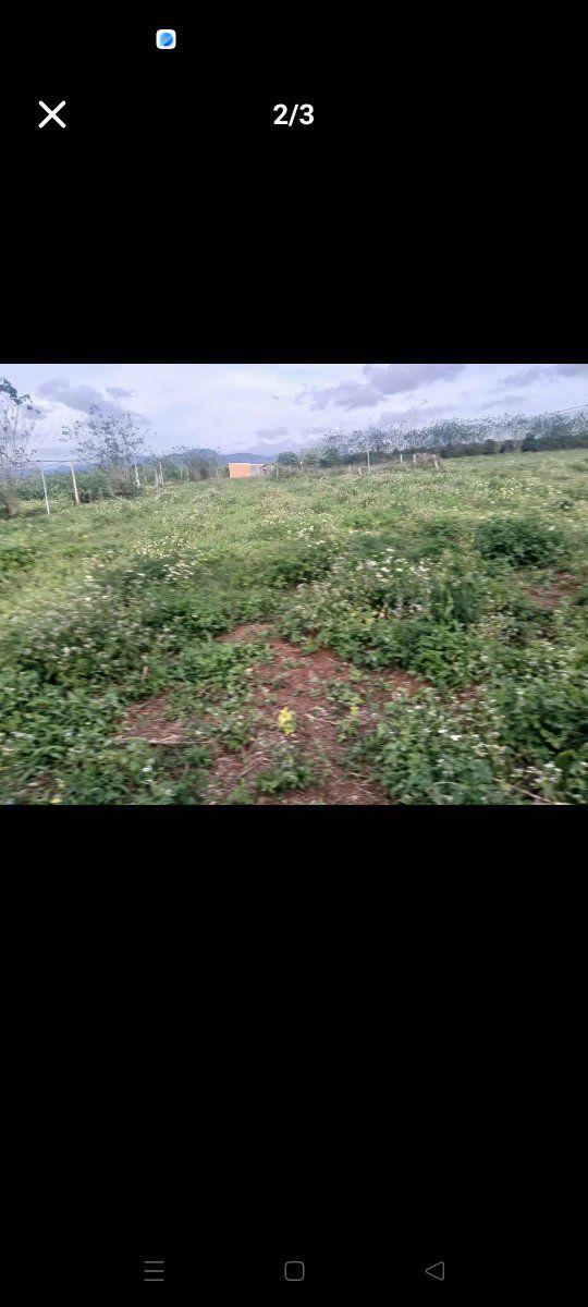 Đất nền thổ cư xã Phú Hội, 85m², giá chỉ 700 triệu - Cơ hội đầu tư hấp dẫn!