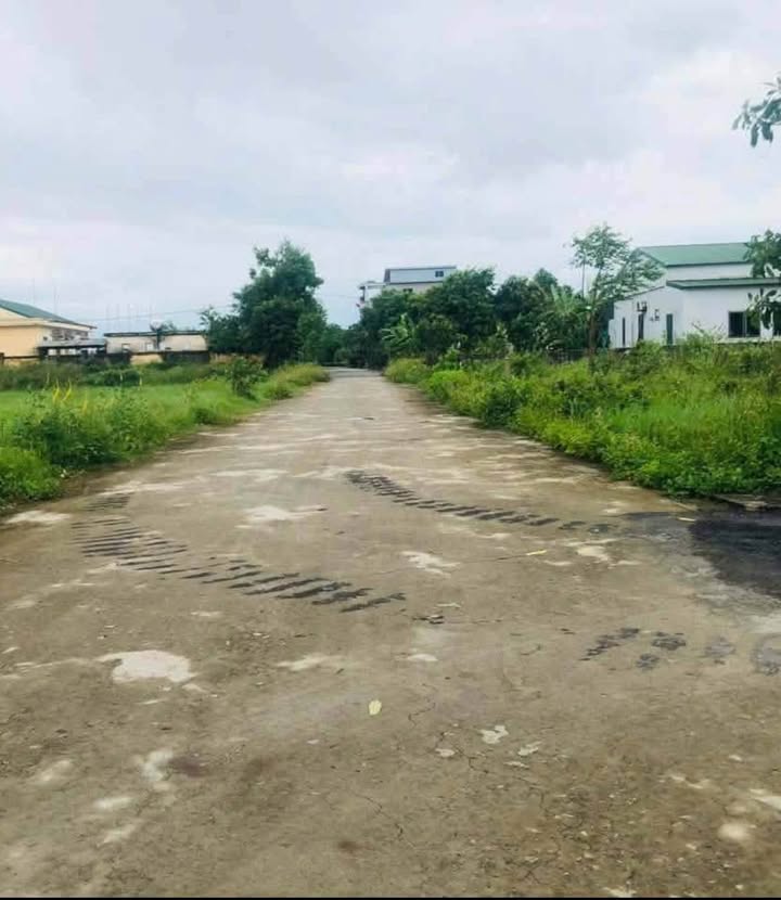 Đất nền Thạch Hạ, 144m² giá 2.1 tỷ - Gần chợ Bình Hương!