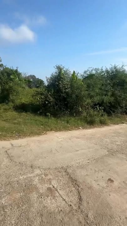 Đất thổ cư 395m² tại KDC xã Đức Bình - Giá đầu tư hấp dẫn!