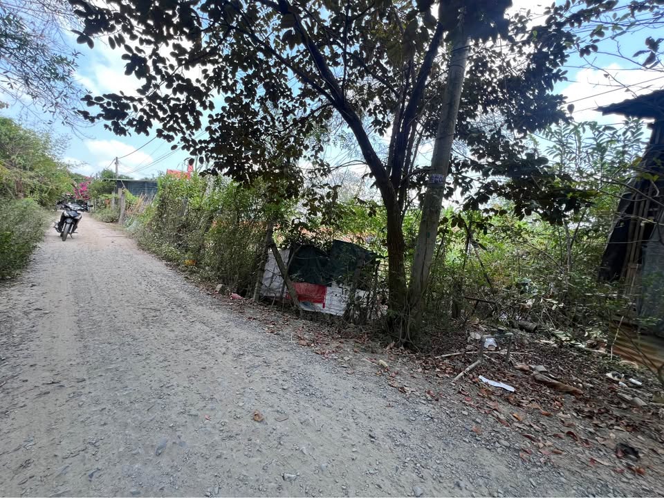 Đất nền phường Mỹ Hòa, 1120m² (600m² thổ cư) - Đường ô tô vào tận nơi!